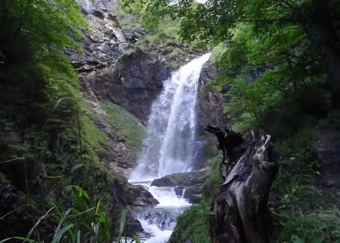 公寓 Martina 舒里特斯